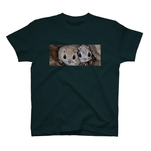 心とカラダの栄養を◆サロベツのエゾモモンガ Regular Fit T-Shirt