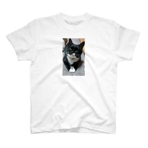 アジュT Regular Fit T-Shirt