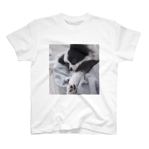 かわいい肉球 Regular Fit T-Shirt