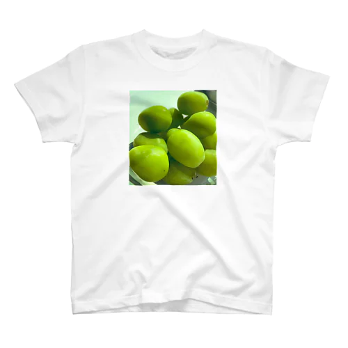 【マスカット】Tシャツ Regular Fit T-Shirt