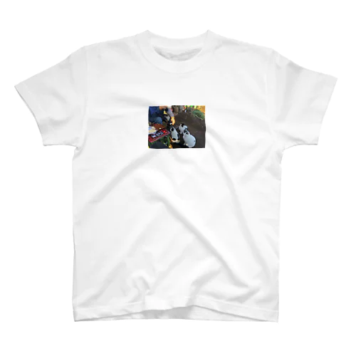 にゃんこ村・朝礼 Regular Fit T-Shirt
