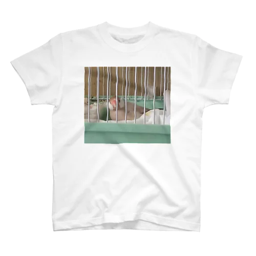 もも「なに撮ってんのよぉ」 Regular Fit T-Shirt