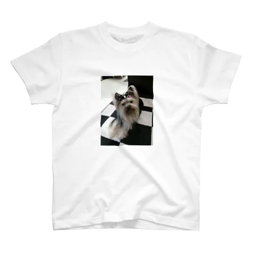 keiju」スタンダードTシャツの通販 ∞ SUZURI（スズリ）