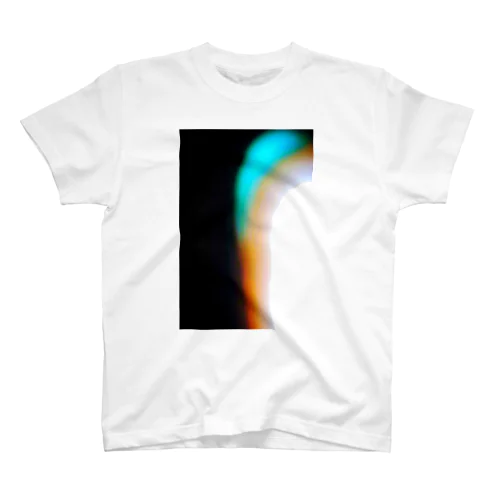 、 Regular Fit T-Shirt