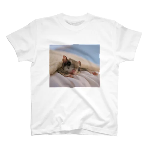 アメリカモモンガのカノン Regular Fit T-Shirt