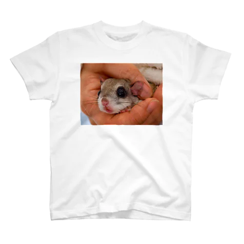 アメリカモモンガのカノン Regular Fit T-Shirt