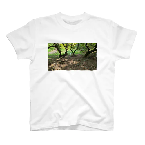 ポツンと一犬や　秋・栗の木 Regular Fit T-Shirt