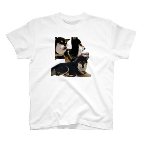 マムシ柴犬詰め合わせ Regular Fit T-Shirt