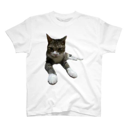 末広がり2 Regular Fit T-Shirt