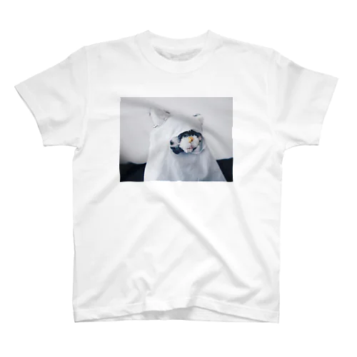 オバケイシー Regular Fit T-Shirt