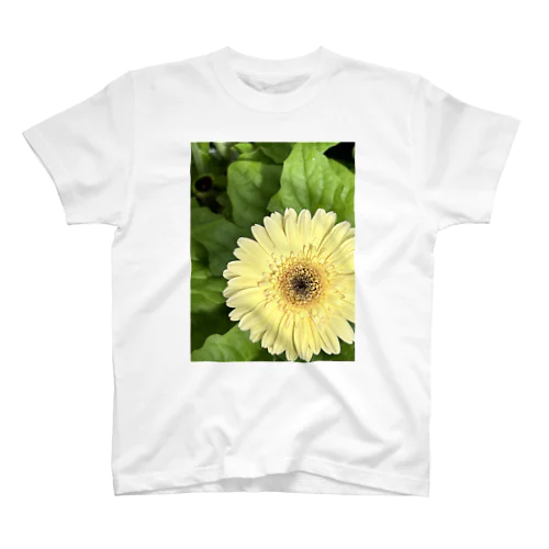 ガーベラ Regular Fit T-Shirt