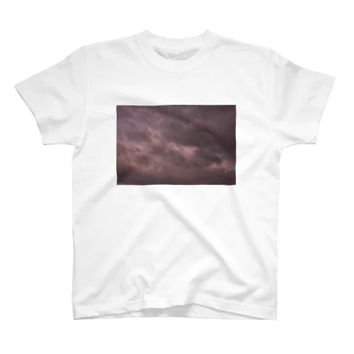 ファインアート　2023 Regular Fit T-Shirt
