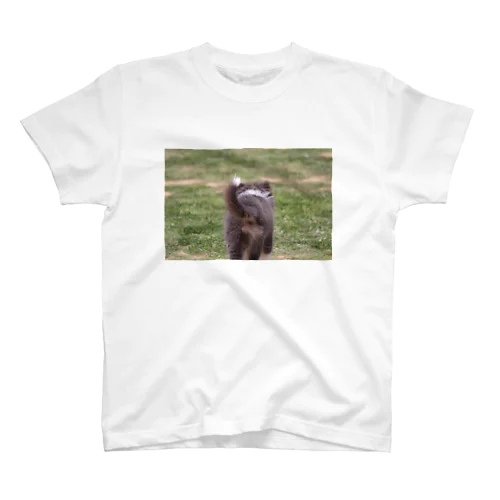 ﾎﾞｰﾀﾞｰｺﾘｰ子犬の後ろ姿です🐯 Regular Fit T-Shirt