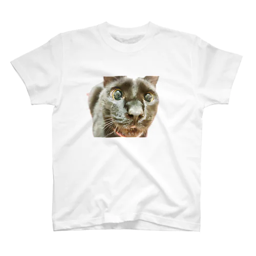 いねグッズ Regular Fit T-Shirt