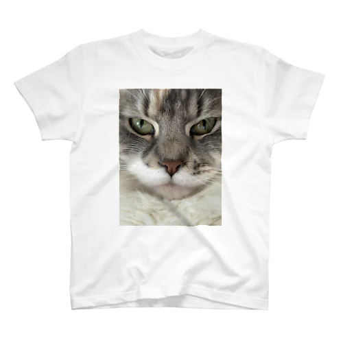 ねこのぬこTシャツ Regular Fit T-Shirt