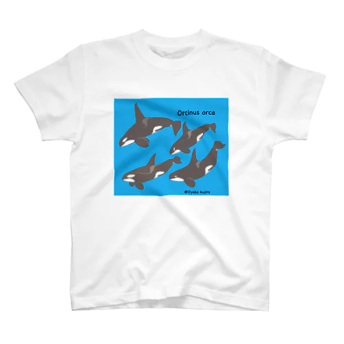 シャチ南極エコタイプ Regular Fit T-Shirt