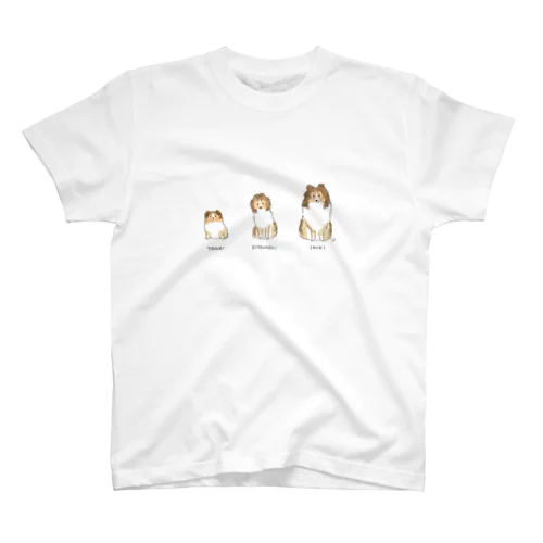 たぬききつねきいぬき Regular Fit T-Shirt
