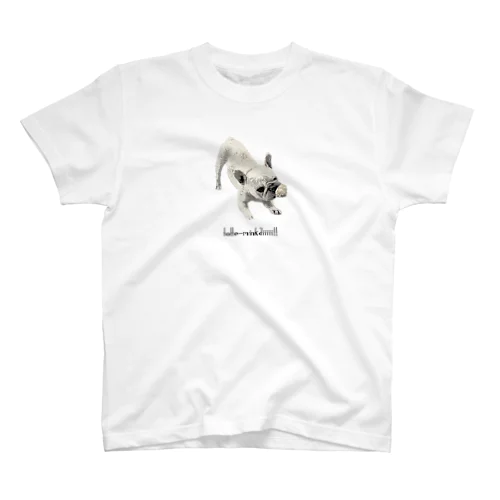 取ってみんかいぃぃ！！ Regular Fit T-Shirt