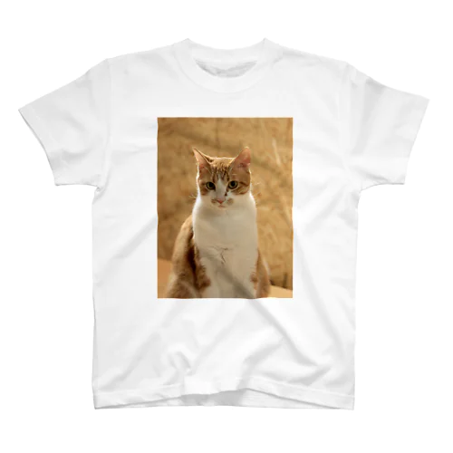 大きくなったよ、ハイク Regular Fit T-Shirt