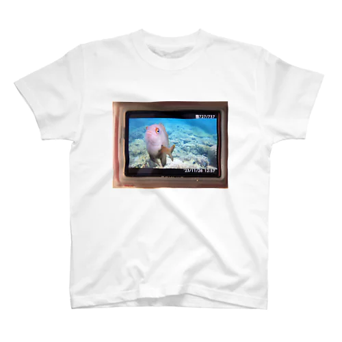 沖縄の魚 Regular Fit T-Shirt