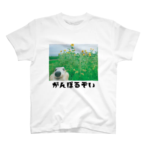 がんぼるぞい（ひまわり） Regular Fit T-Shirt
