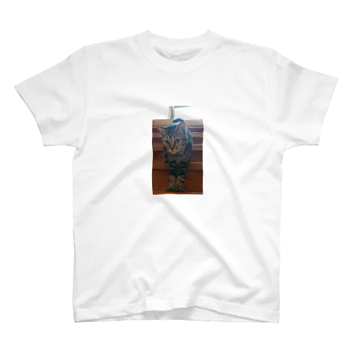 みどりん   ココア Regular Fit T-Shirt