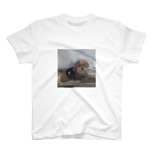 網戸からポンT Regular Fit T-Shirt