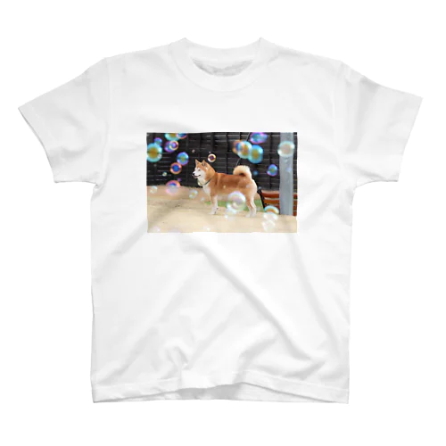 柴犬としゃぼん玉 Regular Fit T-Shirt