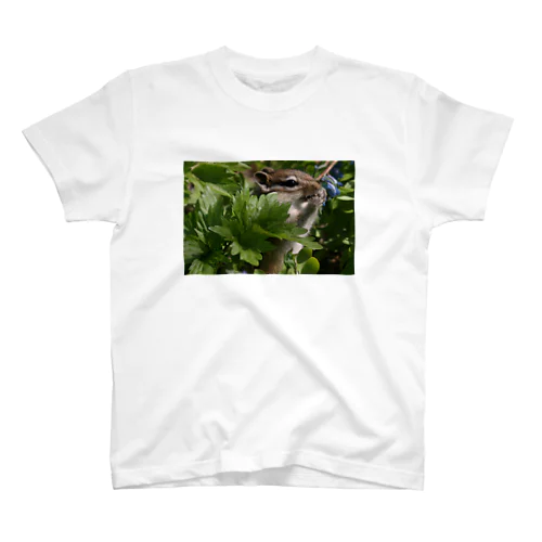 【北海道のアイドル】サロベツのエゾシマリス Regular Fit T-Shirt