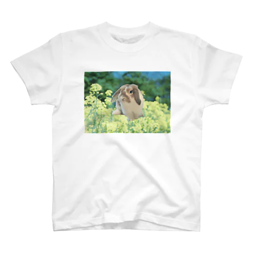 スプリング うさ吉 T菜 Regular Fit T-Shirt