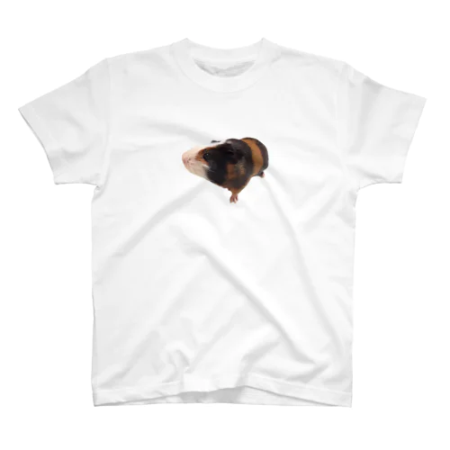 モルモットのモル Regular Fit T-Shirt