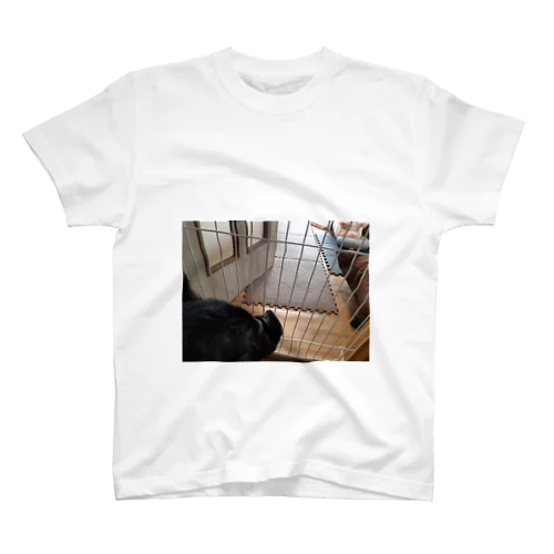 あん子🐽とまいん🐽くん Regular Fit T-Shirt