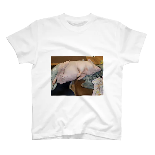 あん子🐽 Regular Fit T-Shirt