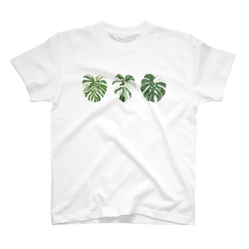 モンステラ　斑入り Regular Fit T-Shirt