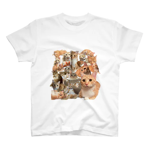 すずの天国 Regular Fit T-Shirt