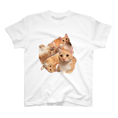 猫のすず Regular Fit T-Shirt