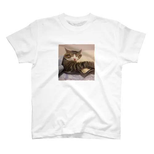 すやすやのんちゃん Regular Fit T-Shirt