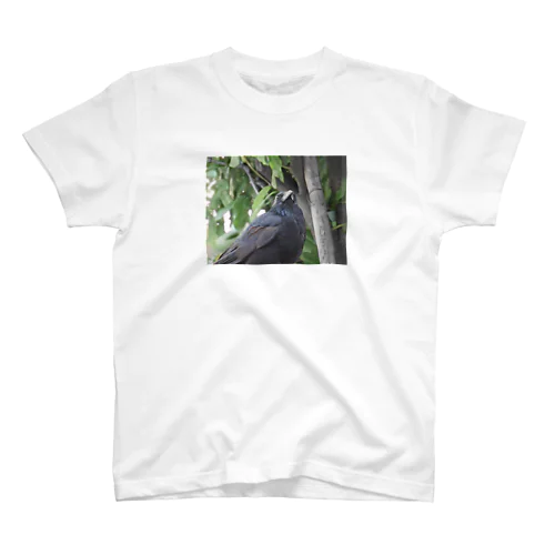 見てるよカラス Regular Fit T-Shirt