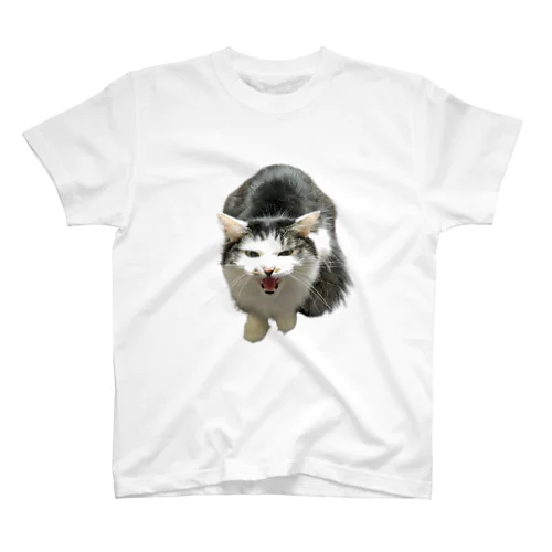 Canvaが切り抜いたチビゴン Regular Fit T-Shirt