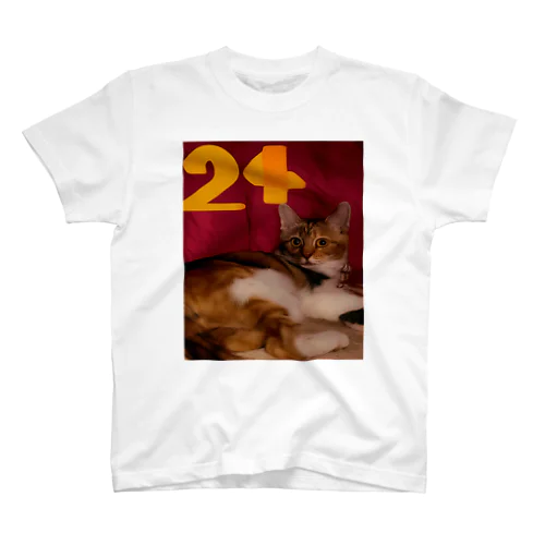 「24のミステリアスキャットTシャツ」 Regular Fit T-Shirt