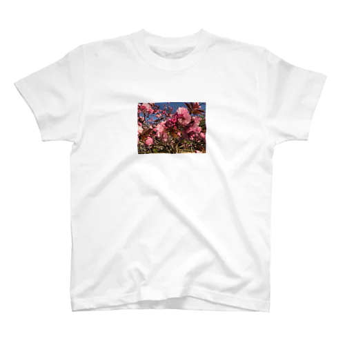 花 ピンク 写真 Regular Fit T-Shirt