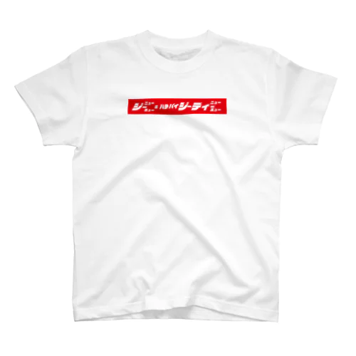 カタカナ数式 -アインシュタイン方程式 ver- Tシャツその２ Regular Fit T-Shirt