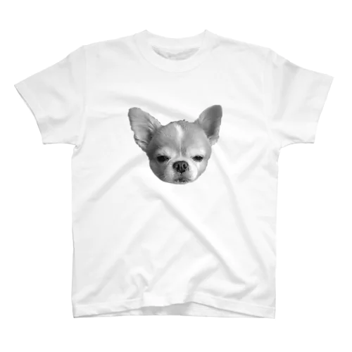 チワワ少しショック受けてる系 Regular Fit T-Shirt