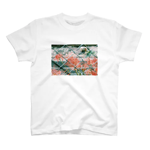 影だけ持ち帰らせて Regular Fit T-Shirt
