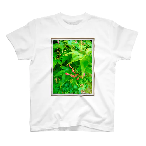 아름다운 하루 ~美しい1日~ Regular Fit T-Shirt