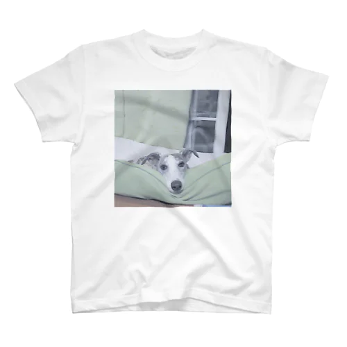 るりちゃんちのいぬTしゃつ Regular Fit T-Shirt