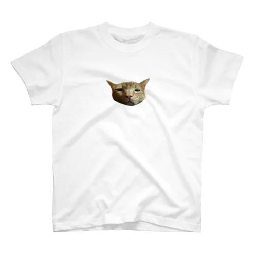ヤスシ③よこひろがり Regular Fit T-Shirt