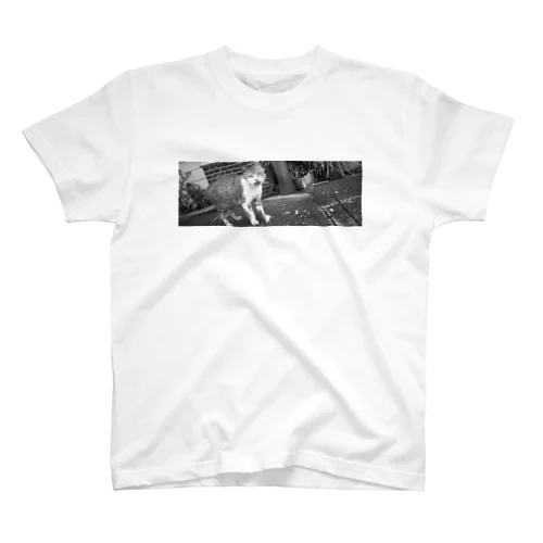 ねこ師匠２（モノクロ） Regular Fit T-Shirt