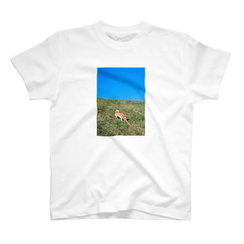 さんぽ Regular Fit T-Shirt