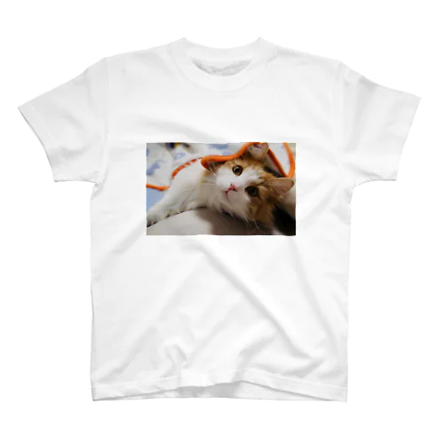 上目遣いレオ様 Regular Fit T-Shirt